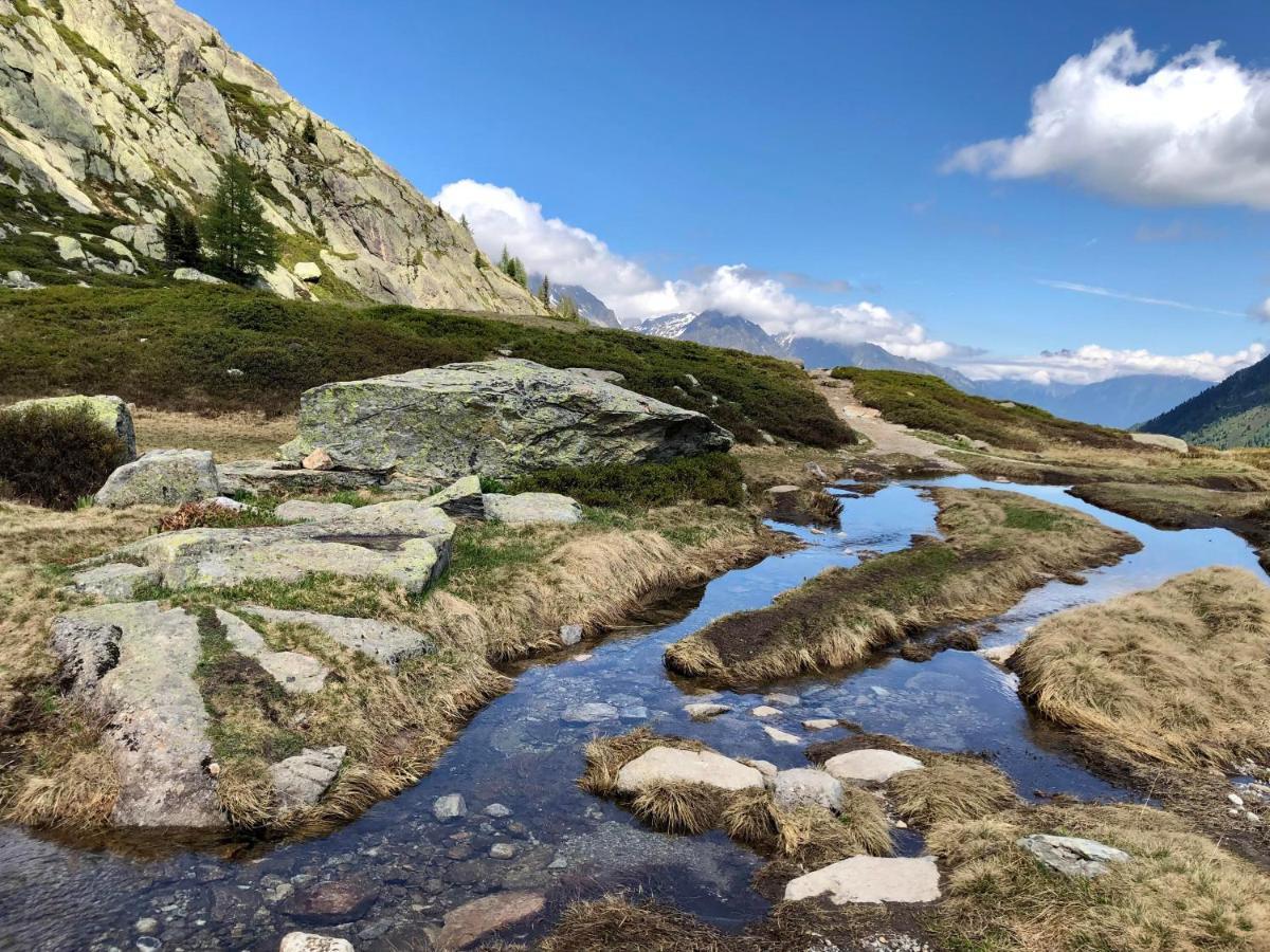 Viachamonix I Confort & Nature, Skis Aux Pieds Vallorcine Exterior foto