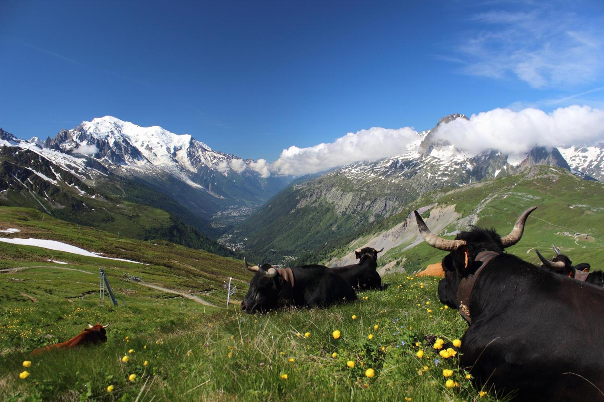 Viachamonix I Confort & Nature, Skis Aux Pieds Vallorcine Exterior foto